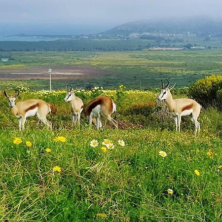 Berg En Dal Accommodation Saldanha Bay Экстерьер фото